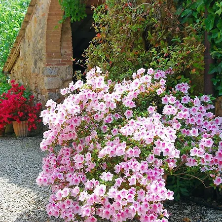 Holiday home Borgo Dei Fondi Siena