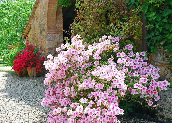 Holiday home Borgo Dei Fondi Siena